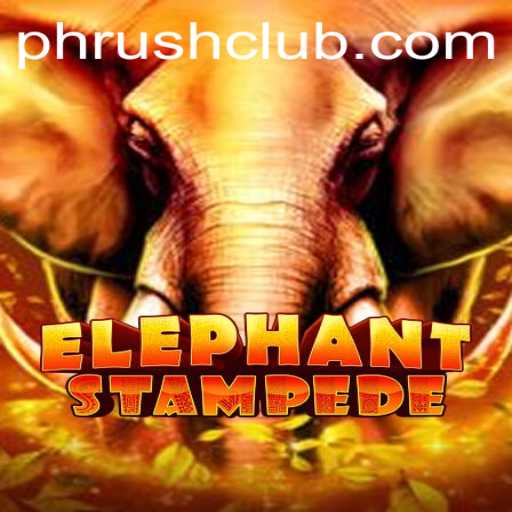 ElephantStampede: Dive into the Thrilling World of Phrush Club